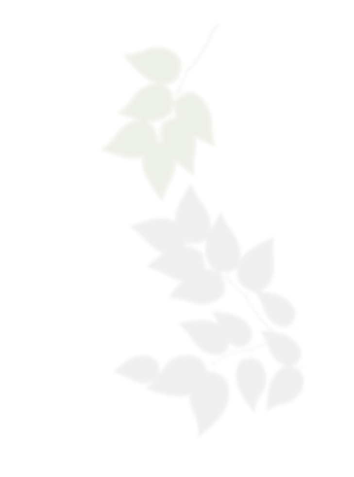 Веточка с листьями